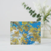 コロラド州ガンニソン ポストカード (スタンド正面)