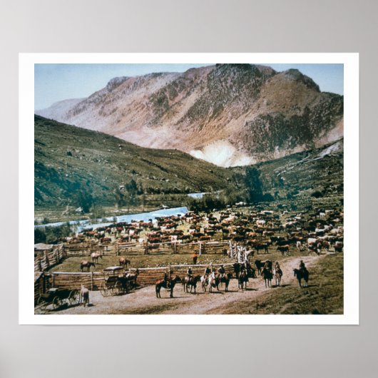 コロラド州キャトルランチ1899年（写真） ポスター (正面)