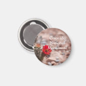 コロラド州クラレット杯サボテン国立記念碑 マグネット (正面/裏面)