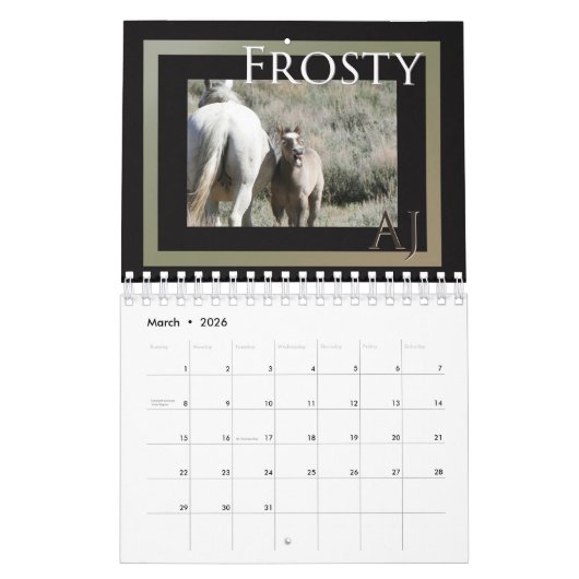 コロラド州サンドウォッシュベイスンの野生の馬 カレンダー (3月 2026)