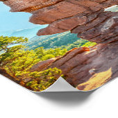 コロラド州シャム双生児フォーメーション ポスター (角)