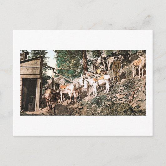 コロラド州シルバーミンバロス1904 ポストカード (正面)