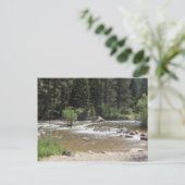 コロラド州セントヴレインリバー ポストカード (スタンド正面)