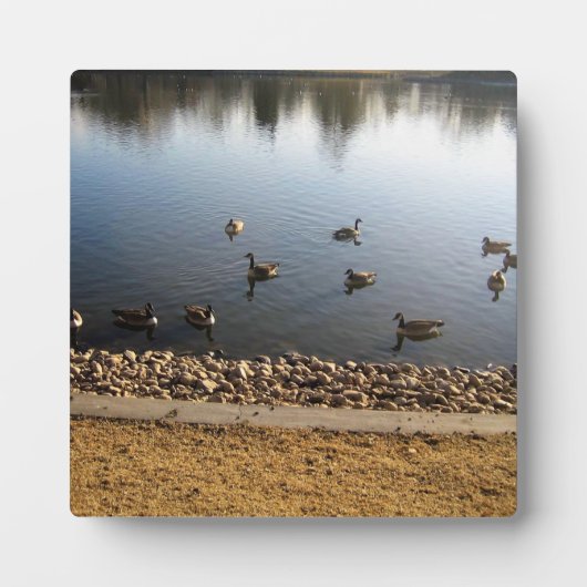 コロラド州デンバーシティパーク フォトプラーク (正面)