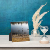 コロラド州デンバーシティパーク フォトプラーク (インサイチュ)