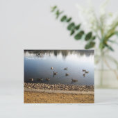 コロラド州デンバーシティパーク ポストカード (スタンド正面)