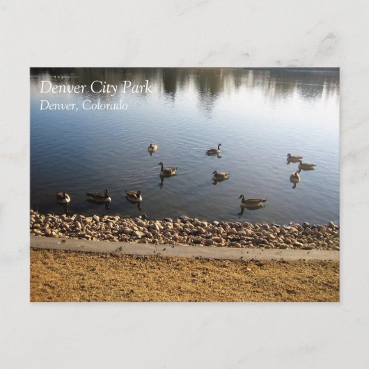 コロラド州デンバーシティパーク ポストカード (正面)