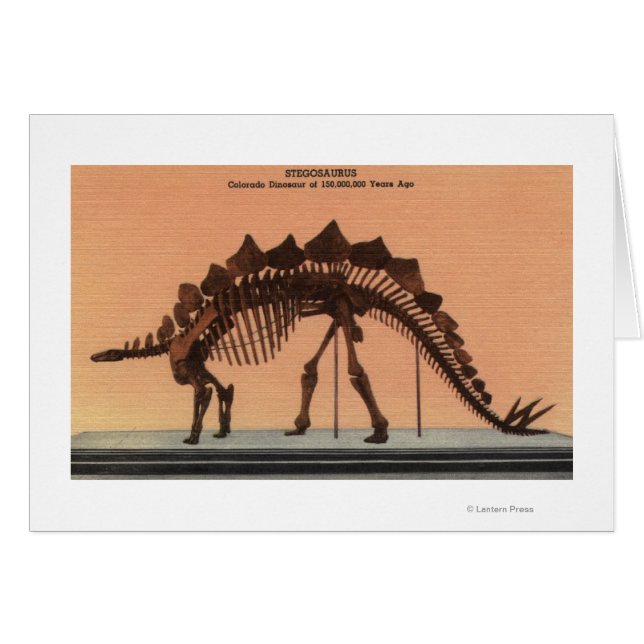 コロラド州デンバー – 自然史博物館2 (正面横)