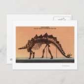 コロラド州デンバー – 自然史博物館2 ポストカード (正面/裏面)