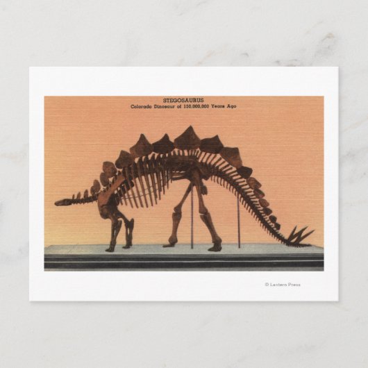 コロラド州デンバー – 自然史博物館2 ポストカード (正面)