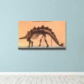 コロラド州デンバー – 自然史博物館 キャンバスプリント (インサイチュ (ウッドフロア))