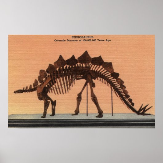 コロラド州デンバー – 自然史博物館 ポスター (正面)