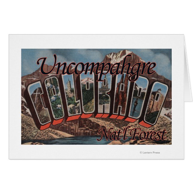 コロラド州ナットフォレストの比較 (正面横)