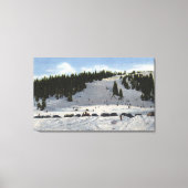 コロラド州バートウド峠 キャンバスプリント (正面)