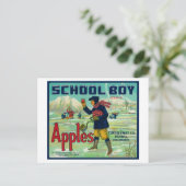 コロラド州パオニア – School Boy Apple Label ポストカード (スタンド正面)
