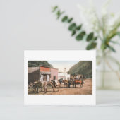 コロラド州パックトレイル、鉱夫への準備1904 ポストカード (スタンド正面)