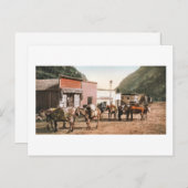 コロラド州パックトレイル、鉱夫への準備1904 ポストカード (正面/裏面)