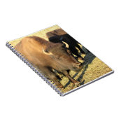 コロラド州ビソン ノートブック (右側)