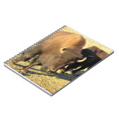 コロラド州ビソン ノートブック (左側)