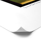 コロラド州ピラミッドピーク&マルーンベル《植物》アスペン ポスター (角)