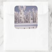 コロラド州フロストカバーの木とフェンス スクエアシール (バッグ)