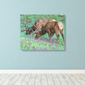 コロラド州ブルエルクス・ロッキーマウンテン国立公園 キャンバスプリント (インサイチュ (ウッドフロア))