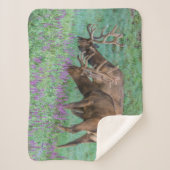 コロラド州ブルエルクス・ロッキーマウンテン国立公園 シェルパブランケット (正面)