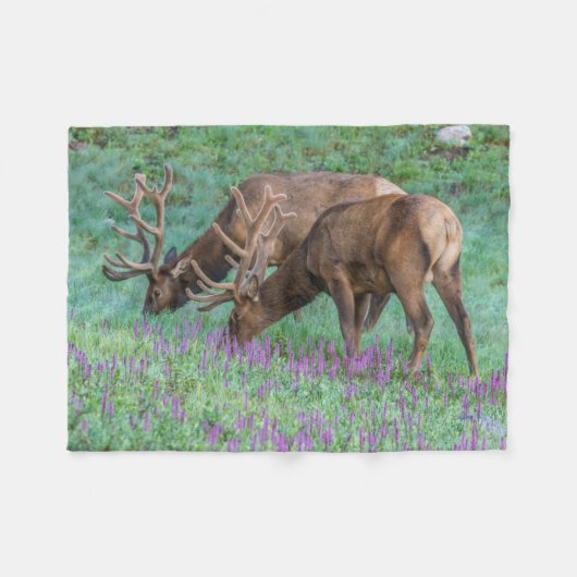 コロラド州ブルエルクス・ロッキーマウンテン国立公園 フリースブランケット (正面(横))