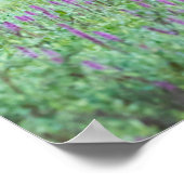 コロラド州ブルエルクス・ロッキーマウンテン国立公園 ポスター (角)