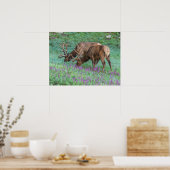 コロラド州ブルエルクス・ロッキーマウンテン国立公園 ポスター (キッチン)