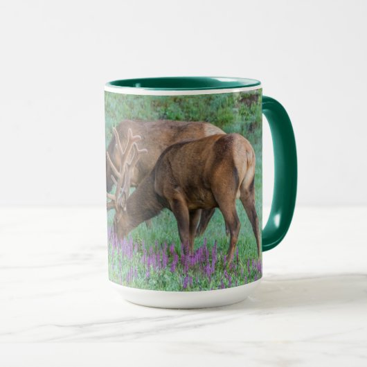 コロラド州ブルエルクス・ロッキーマウンテン国立公園 マグカップ (正面右)