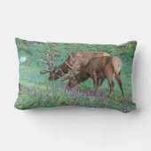 コロラド州ブルエルクス・ロッキーマウンテン国立公園 ランバークッション (裏面)