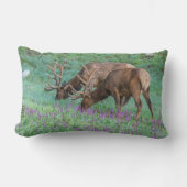 コロラド州ブルエルクス・ロッキーマウンテン国立公園 ランバークッション (正面)