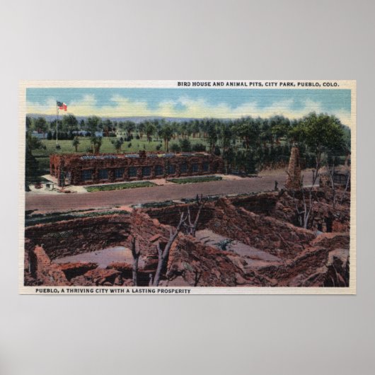 コロラド州プエブロ – Bird House & Animal ポスター (正面)