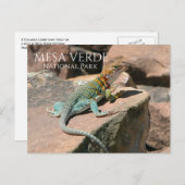 コロラド州メサ・ヴェルデNPのロックでCollated Lizard ポストカード (正面/裏面)