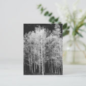 コロラド州ラウト郡スティームボート ポストカード (スタンド正面)