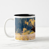 コロラド州ロッキーマウンテン国立公園のエルク ツートーンマグカップ (左)