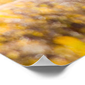 コロラド州ロッキーマウンテン国立公園のエルク ポスター (角)