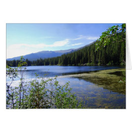 コロラド州ロッキーマウンテン国立公園