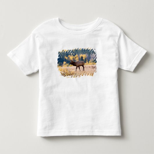 コロラド州ロッキー山国立公園のエルク トドラーTシャツ (正面)