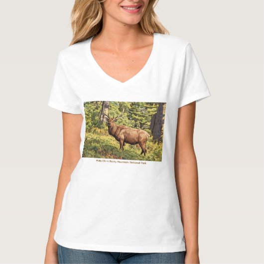 コロラド州ロッキー山国立公園の雄のエルク Tシャツ (正面)