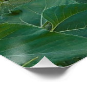 コロラド州ロングモントのヒマワリ畑 ポスター (コーナー)