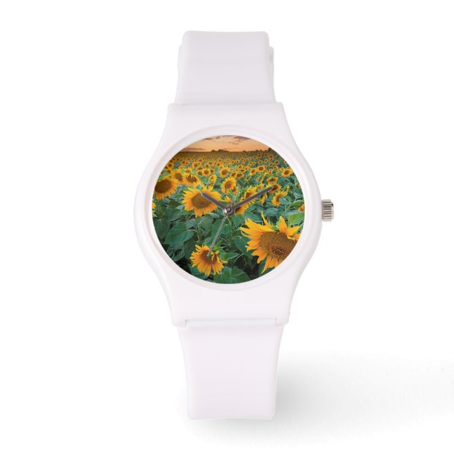 コロラド州ロングモントのヒマワリ畑 腕時計 (正面)