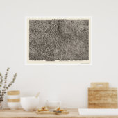 コロラド州地形図1894 ポスター (キッチン)