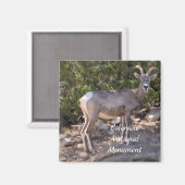 コロラド州天然記念物 マグネット (正面/裏面)