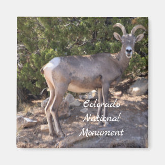 コロラド州天然記念物 マグネット