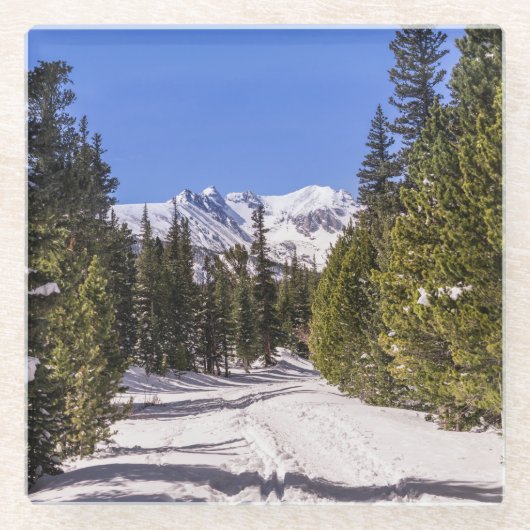 コロラド州山のSnowyの道 ガラスコースター (正面)