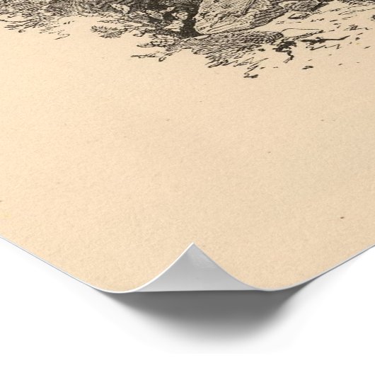 コロラド州河口 ポスター (角)