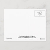 コロラド州流はがき ポストカード (裏面)