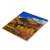 コロラド州秋 タイル (側面)